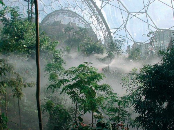 На фото «Eden Project».