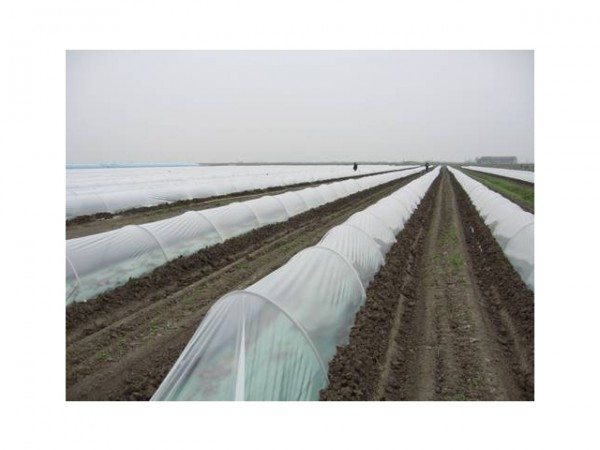Простые парники с пленочным покрытием Простые парники с пленочным покрытием