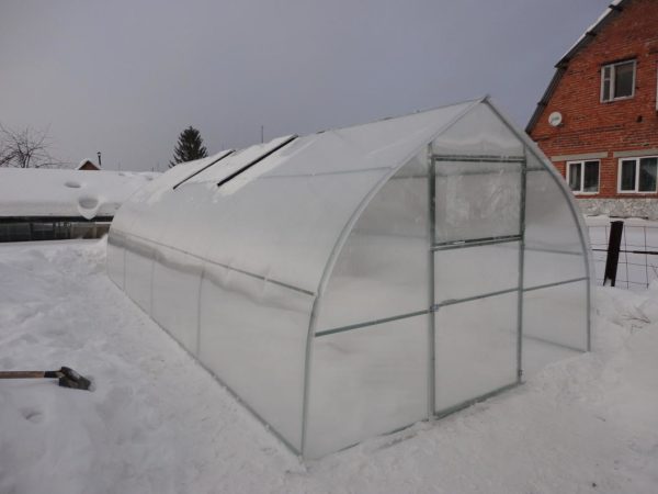Снег внутри парника зимой Снег внутри парника зимой