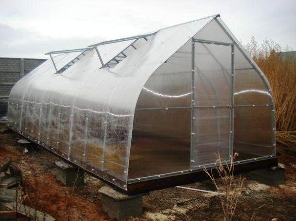 Обшитый поликарбонатом парник с металлическим каркасом