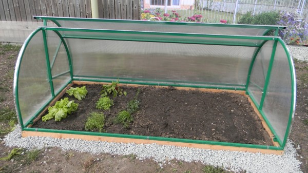 На фото – парник конструкции «улитка».