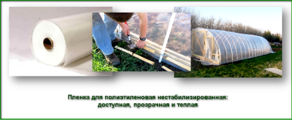 Пленка для парника