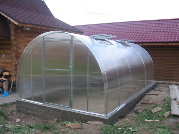 Обшивка 4-мметровым поликарбонатом – один из самых распространенных вариантов