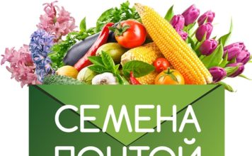 Как найти интернет магазин семян