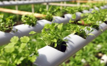 Что такое гроушопы