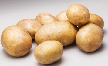 Выбор семенного картофеля