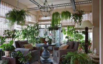 Зимний дом для растений