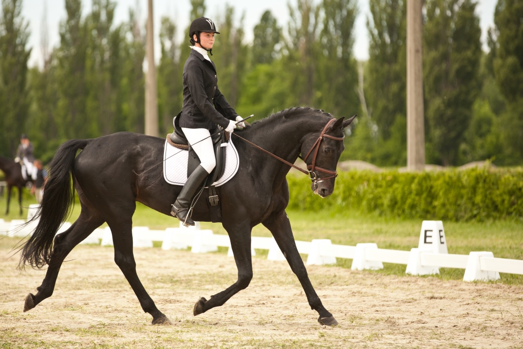 Польза верховой езды