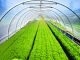 Плёнка для теплиц