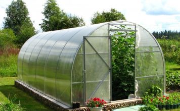 Преимущества поликарбонатных теплиц