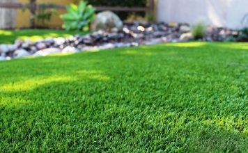 Засухоустойчивые газоны