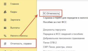 Отчеты ЕФС-1 в 1С:ЗУП: назначение и порядок заполнения